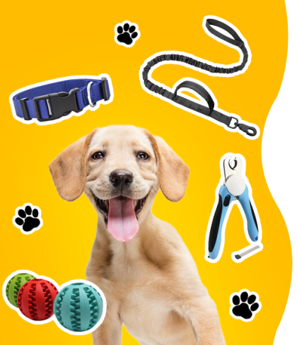 The Complete Guide on Online Dog and Pet Accessory Shopping